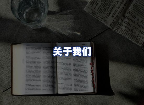 专业团队